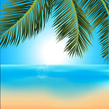 Tropical sunrise with palm trees background