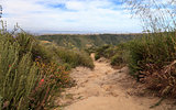 Aliso and Wood Canyons Wilderness Park hiking paths in Laguna Be