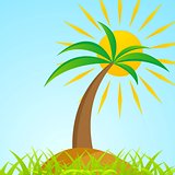 Tropical palm tree on island with shiny sun
