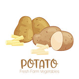 Vector potato isolated on white background.Vegetable illustration for farm market menu. Healthy food design poster. Cartoon style vector illustration