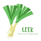 Vector leek isolated on white background.Vegetable illustration for farm market menu. Healthy food design poster. Cartoon style vector illustration