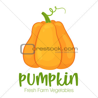 Vector pumpkin isolated on white background.Vegetable illustration for farm market menu. Healthy food design poster. Cartoon style vector illustration