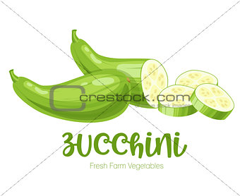 Vector zucchini isolated on white background.Vegetable illustration for farm market menu. Healthy food design poster. Cartoon style vector illustration
