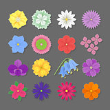 Set of colorful Paper Flowers white background. Vector eps 10 format.