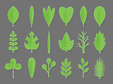Set of green Paper Flower and tree leaves isolated on gray background. Vector eps 10 format.