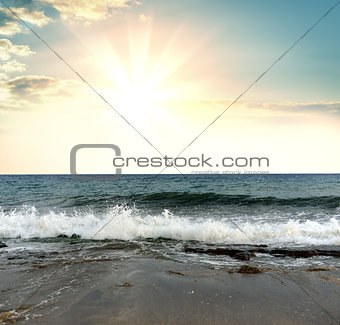 Seascape. Sand, water and sea foam