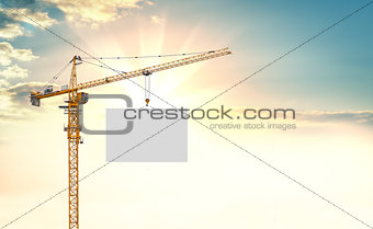 The tower crane lifts the white plate