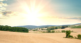 Panorama of fields with cultivated plants