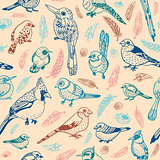 Bird seamless pattern 