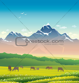Cow, grass, mountain. Summer landscape. 