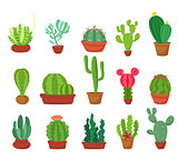 Cactus flat style. Vector illustration.