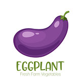 Vector eggplant isolated on white background.Vegetable illustration for farm market menu. Healthy food design poster. Cartoon style vector illustration