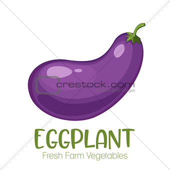 Vector eggplant isolated on white background.Vegetable illustration for farm market menu. Healthy food design poster. Cartoon style vector illustration