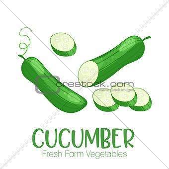Vector cucumber isolated on white background.Vegetable illustration for farm market menu. Healthy food design poster. Cartoon style vector illustration