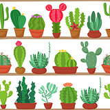 Seamless pattern of cactuses and succulents in pots on a shelves. Indoor plants on the shelves isolated on white background. Natural background of indoor plants in a flat style. Vector illustration.