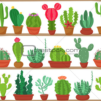 Seamless pattern of cactuses and succulents in pots on a shelves. Indoor plants on the shelves isolated on white background. Natural background of indoor plants in a flat style. Vector illustration.