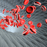 Blood vessel with flowing blood cells, scientific or medical or microbiological concept, 3d rendering illustration