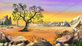 Lone Tree Surrounded by Mountain Under Yellow Sky