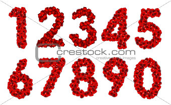 Rose Petals Realistic Number Vector Illustration