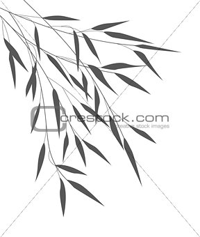 Vector bamboo leaves