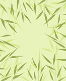 Bamboo green leaves