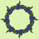 frame of blueberries with green leaves 