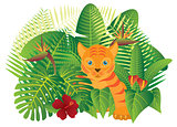 Tropical Rainforest  Jungle Tiger Cub Illustration