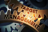 Target Management on Golden Gears. 3D Illustration.