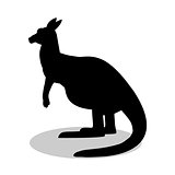 Kangaroo marsupial mammal black silhouette animal