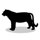 Tiger wildcat black silhouette animal