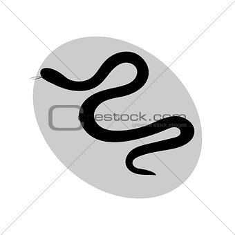 Snake reptile black silhouette animal