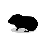 Guinea pig pet rodent black silhouette animal