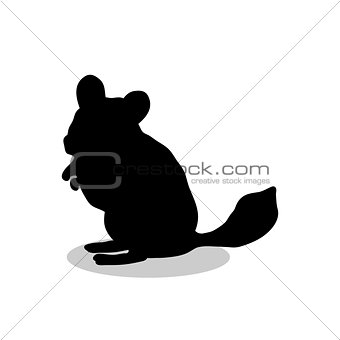 Chinchilla pet rodent black silhouette animal