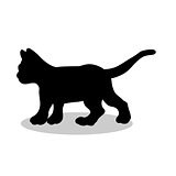 Kitten cat pet black silhouette animal