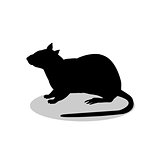 Rat mouse rodent black silhouette animal