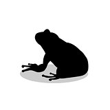 Frog amphibian black silhouette animal