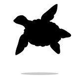 Sea turtle reptile black silhouette animal