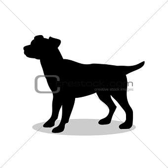 Dog pup pet black silhouette animal