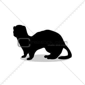 Ferret weasel ermine mammal black silhouette animal