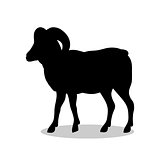Ram farm mammal black silhouette animal