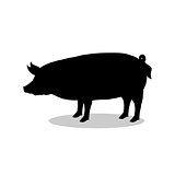 Pig farm mammal black silhouette animal
