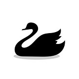Swan bird black silhouette animal