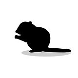 Chipmunk rodent mammal black silhouette animal
