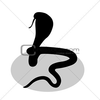 Cobra snake reptile black silhouette animal