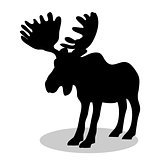 Elk mammal black silhouette animal