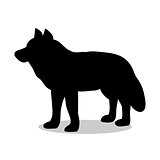 Wolf predator black silhouette animal