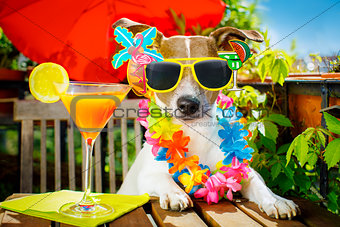 cocktail drink dog summer holiday vacation on balcony