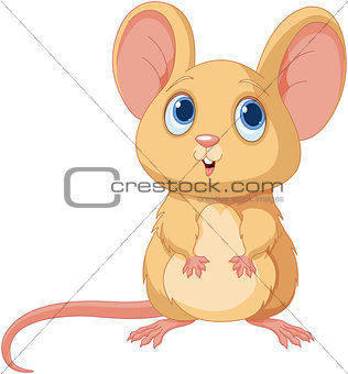 Cute Mice