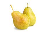Two ripe yellow pears 