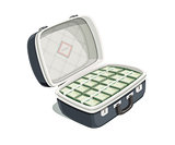 Black open briefcase with bundle of dollars